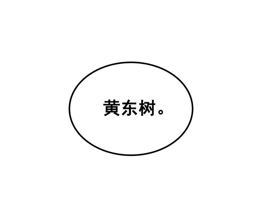 255.jpg