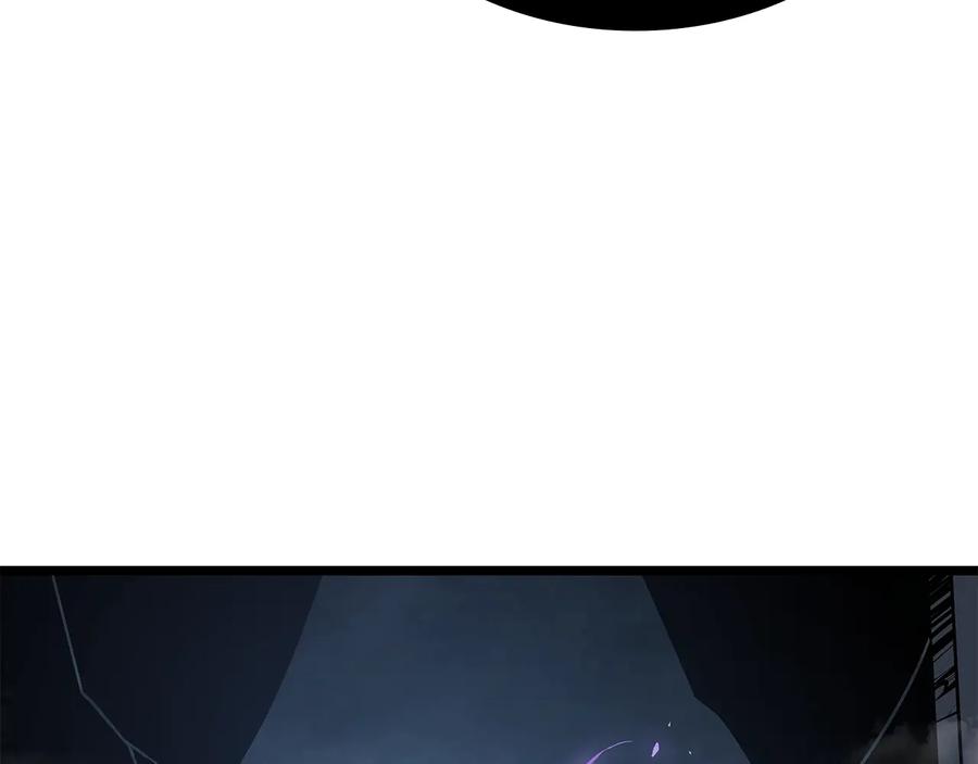311.jpg