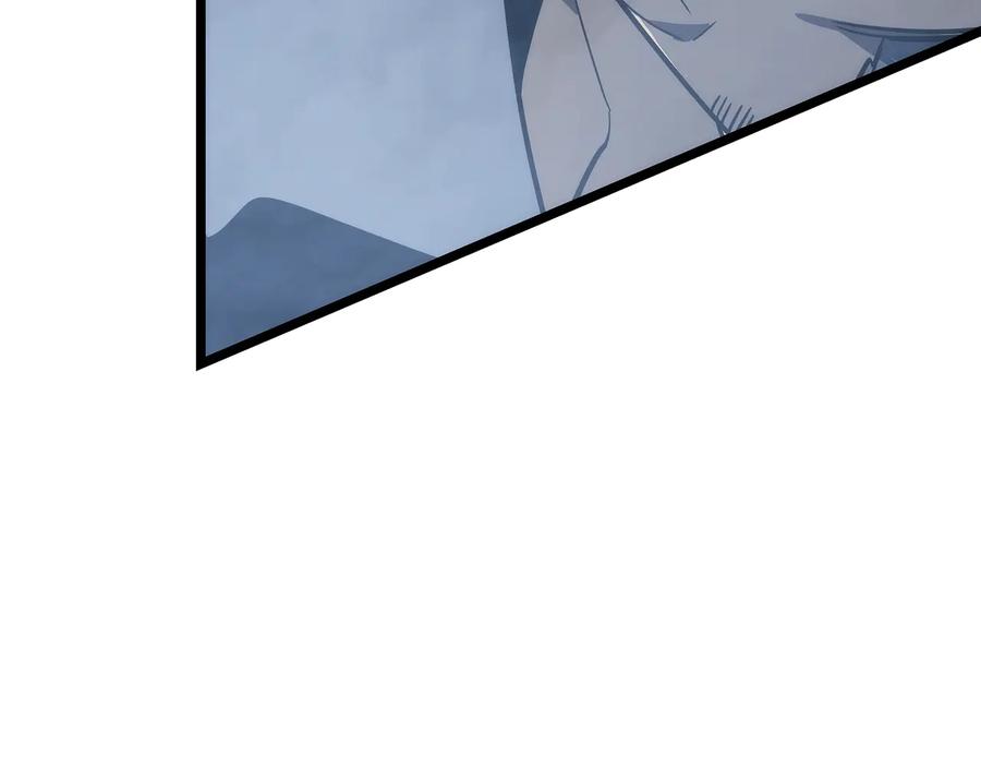 231.jpg