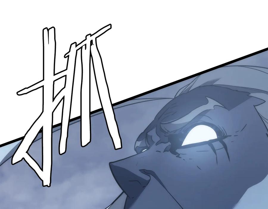 343.jpg