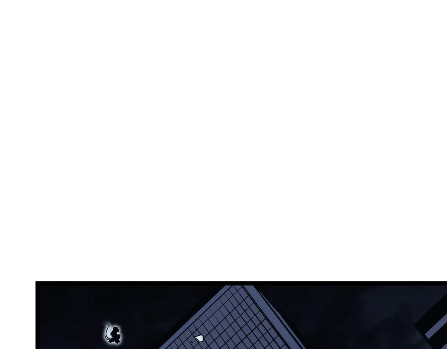 320.jpg