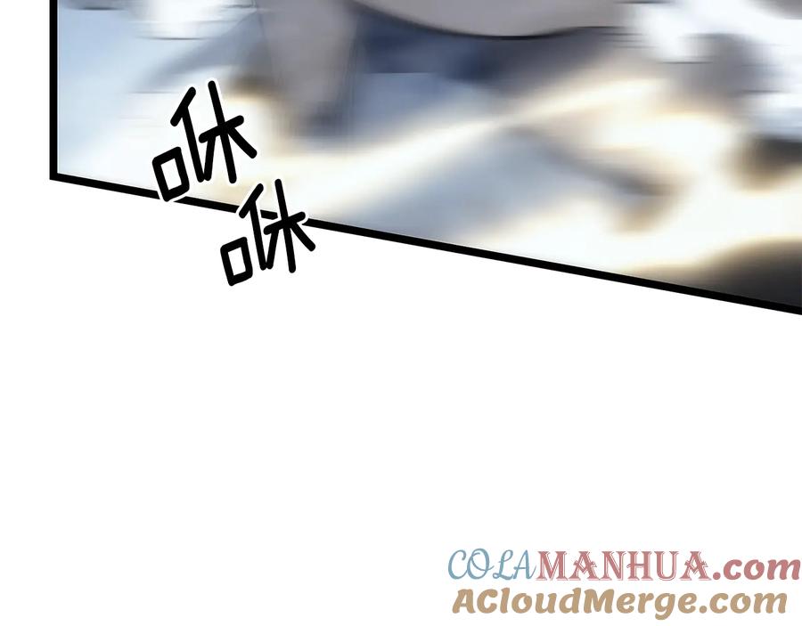 213.jpg