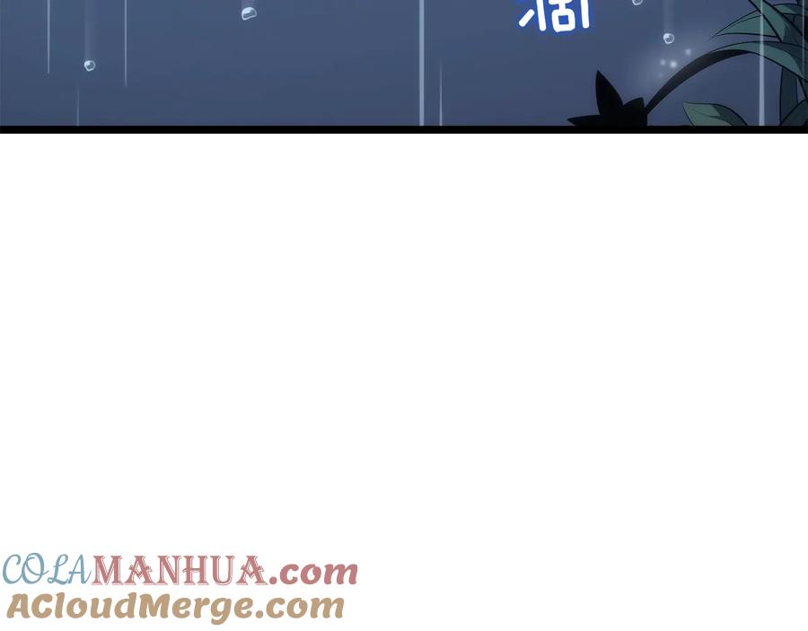 237.jpg
