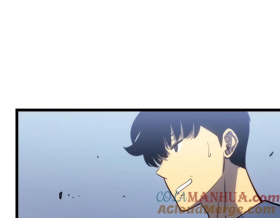 205.jpg
