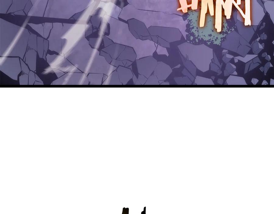232.jpg