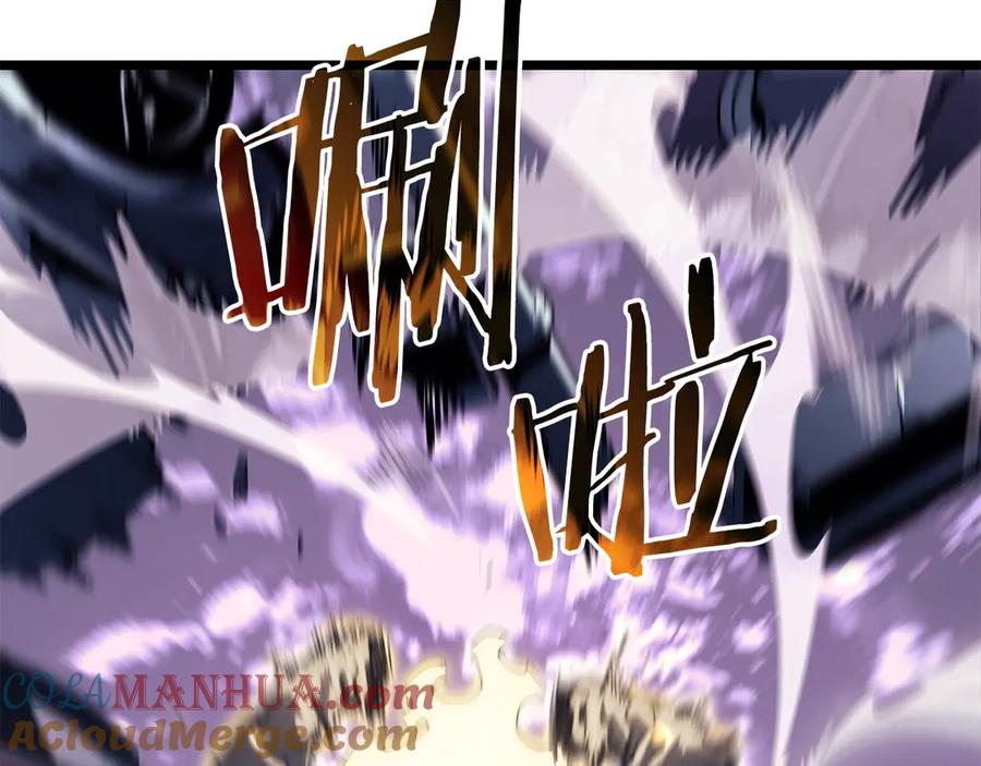 233.jpg