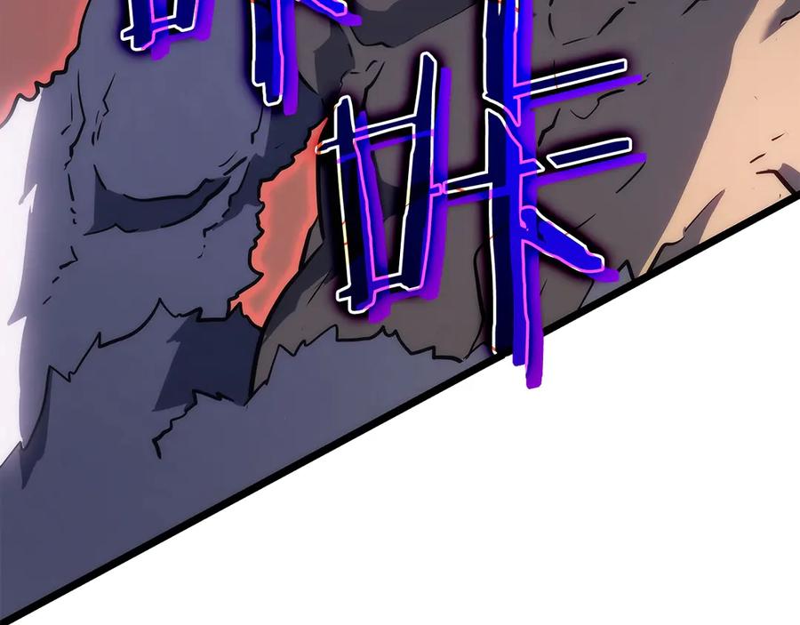 254.jpg