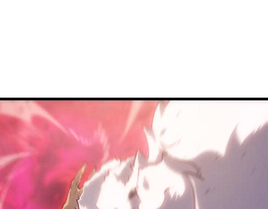 176.jpg