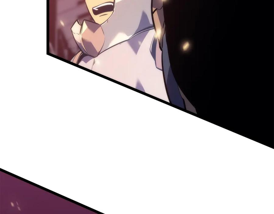 266.jpg