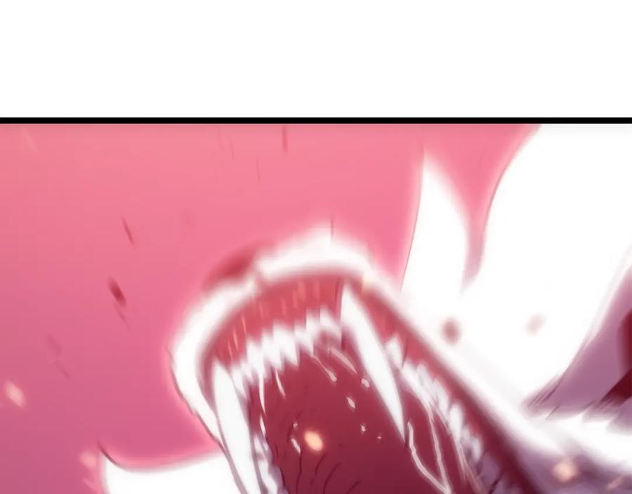 100.jpg