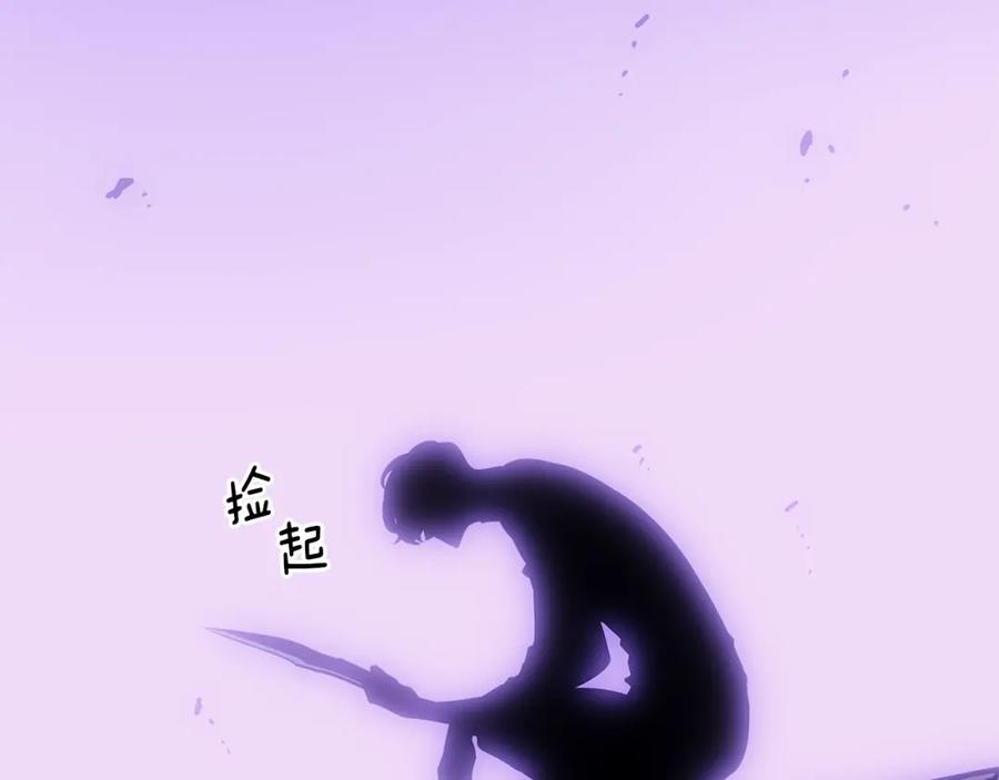260.jpg