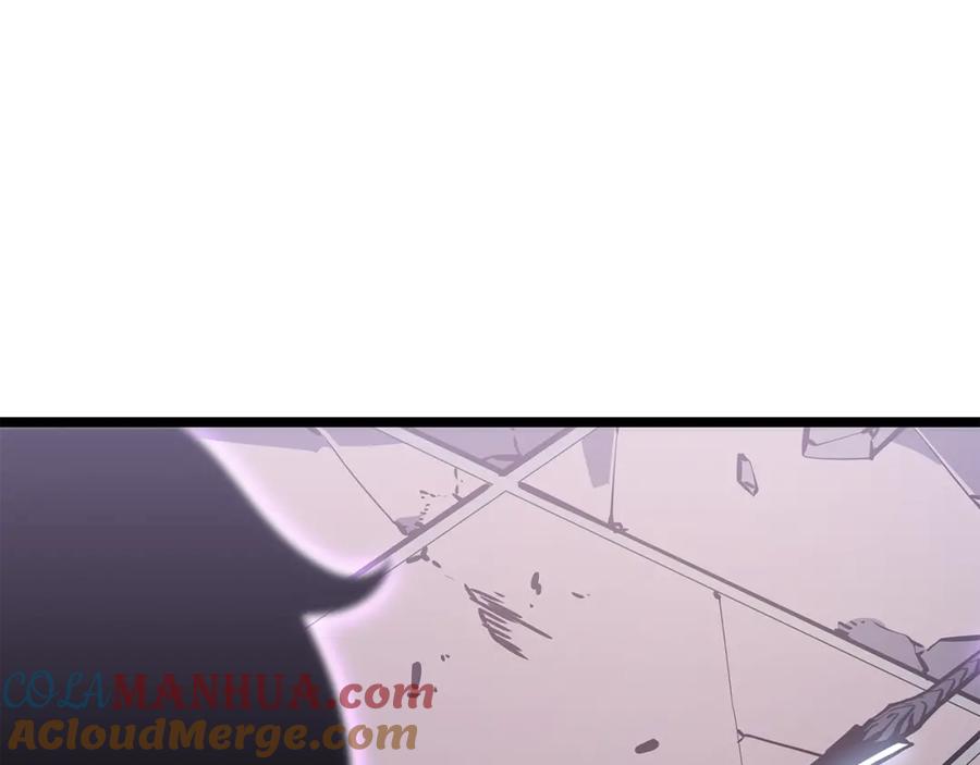 257.jpg