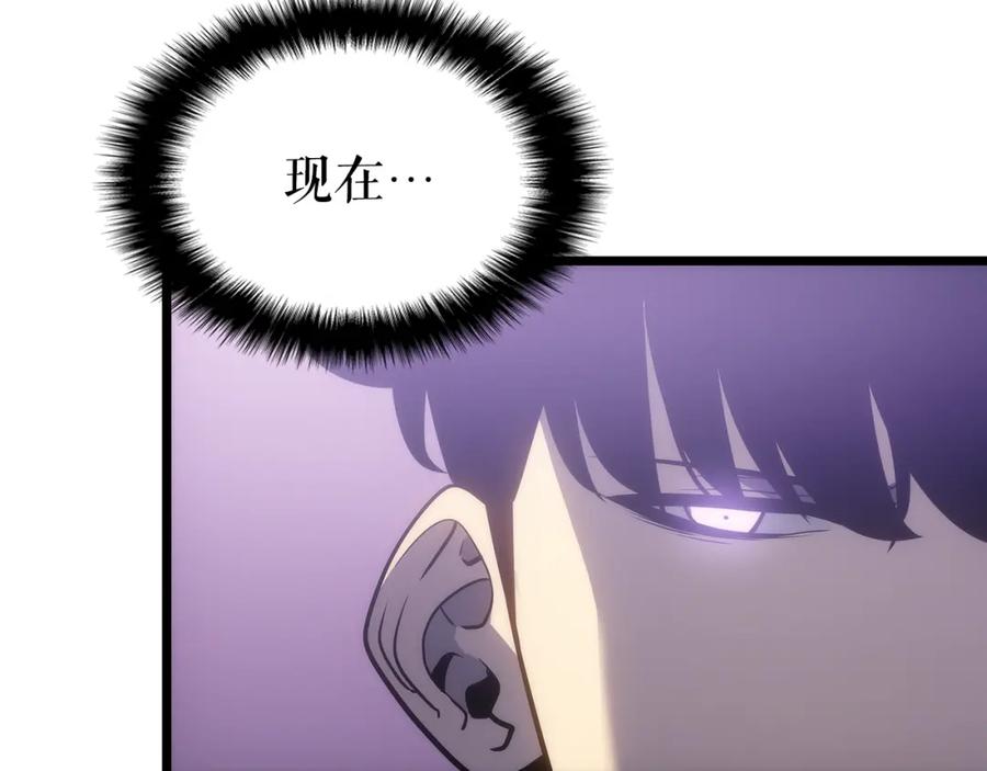 231.jpg
