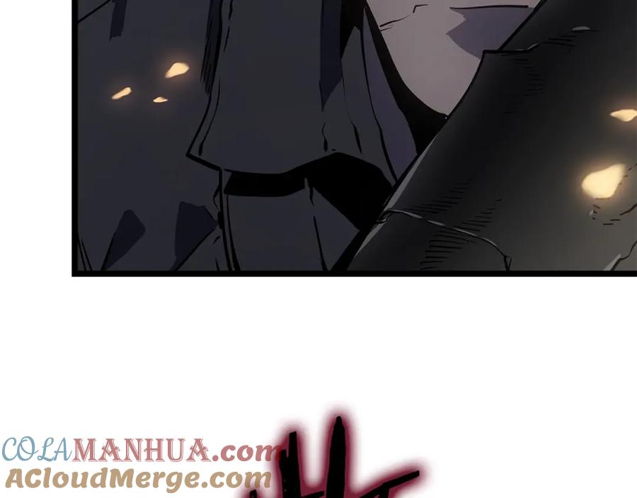 221.jpg