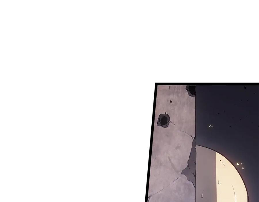 164.jpg