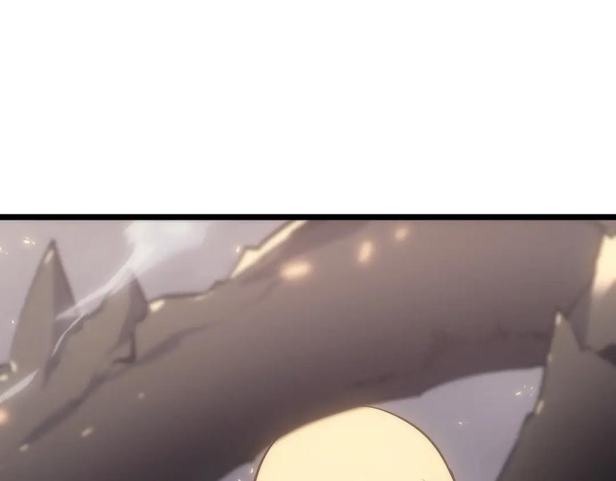 211.jpg