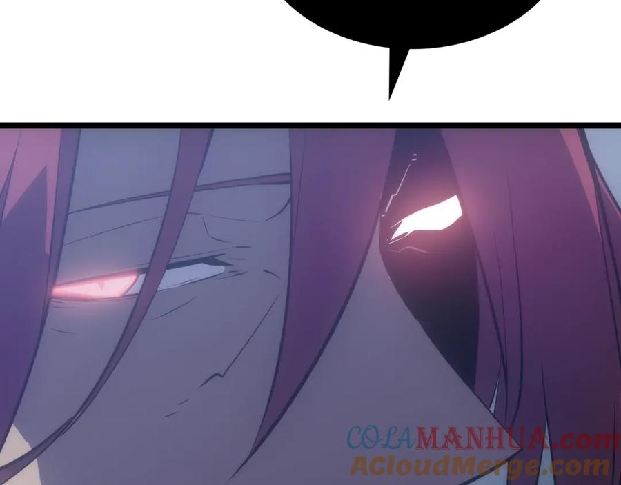233.jpg