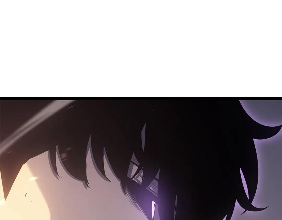 253.jpg