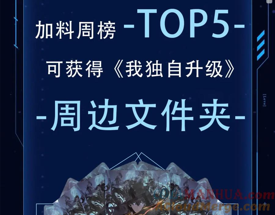 261.jpg