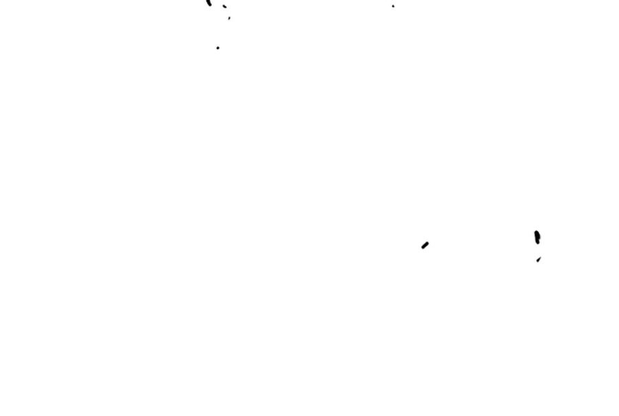 316.jpg