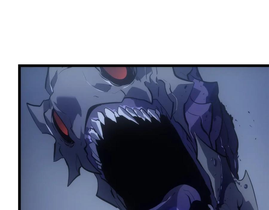 120.jpg