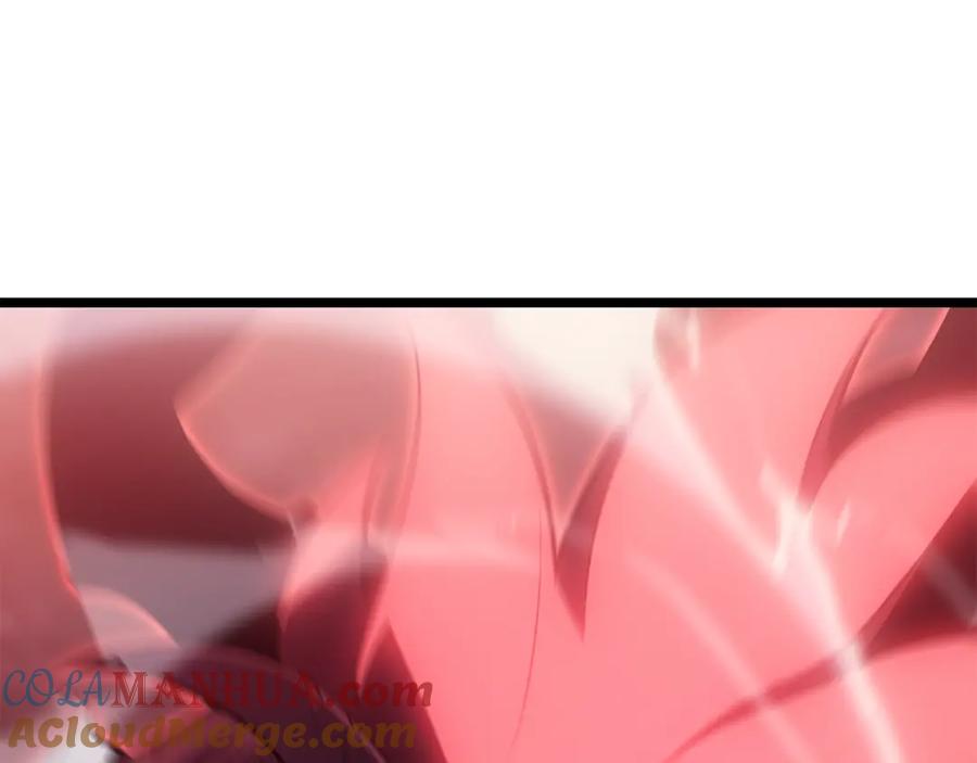 209.jpg