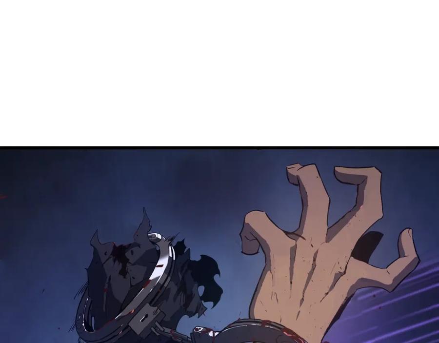 205.jpg