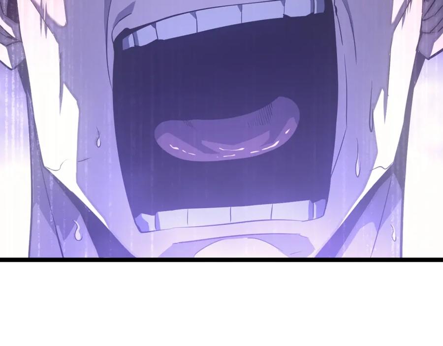 244.jpg