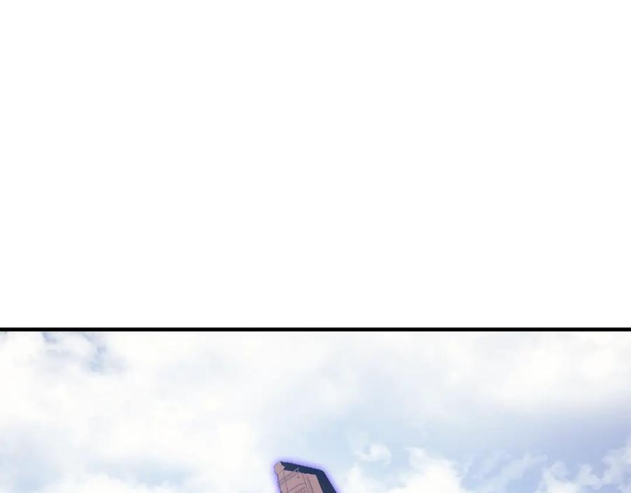 260.jpg