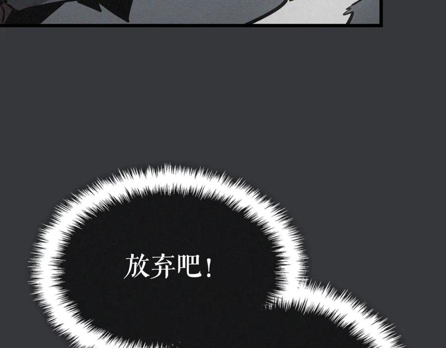 243.jpg