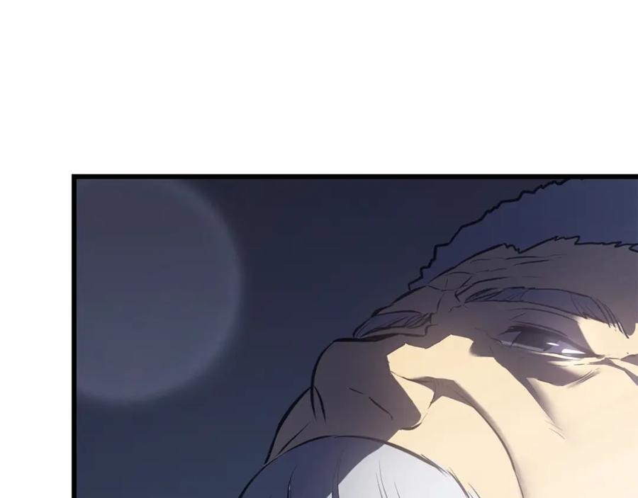 374.jpg