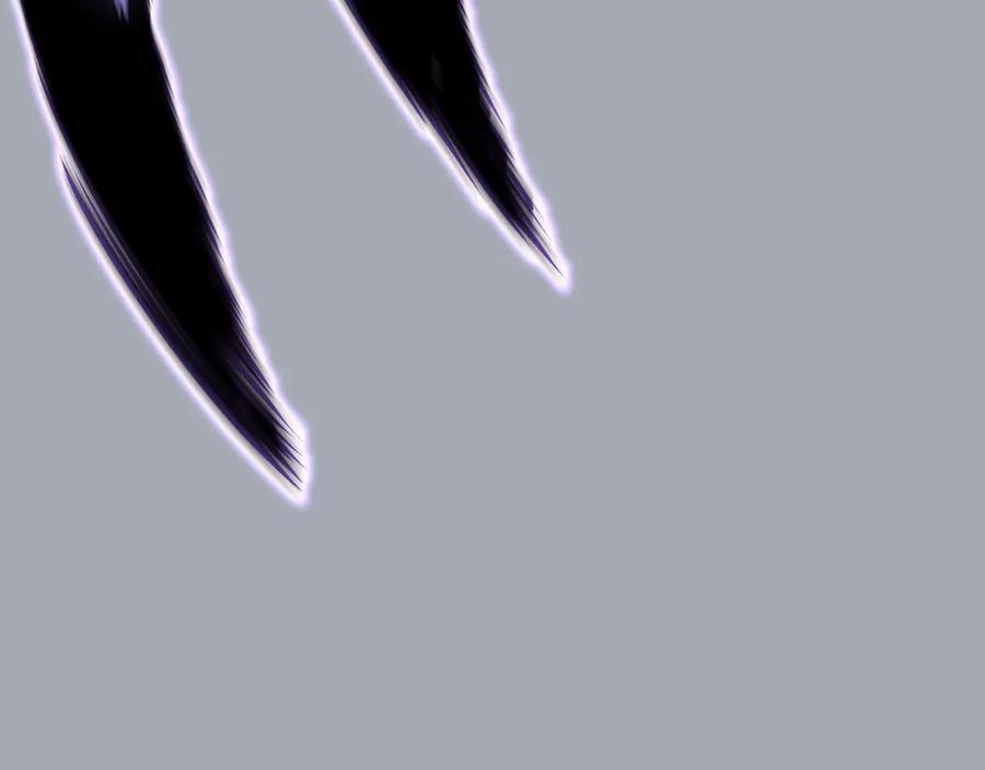 284.jpg