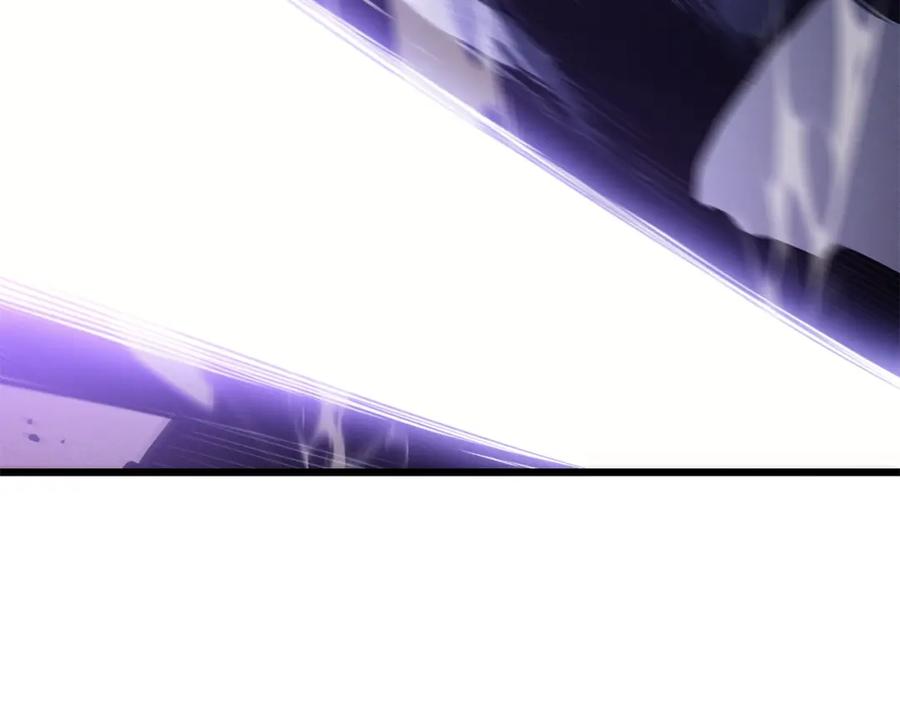 224.jpg