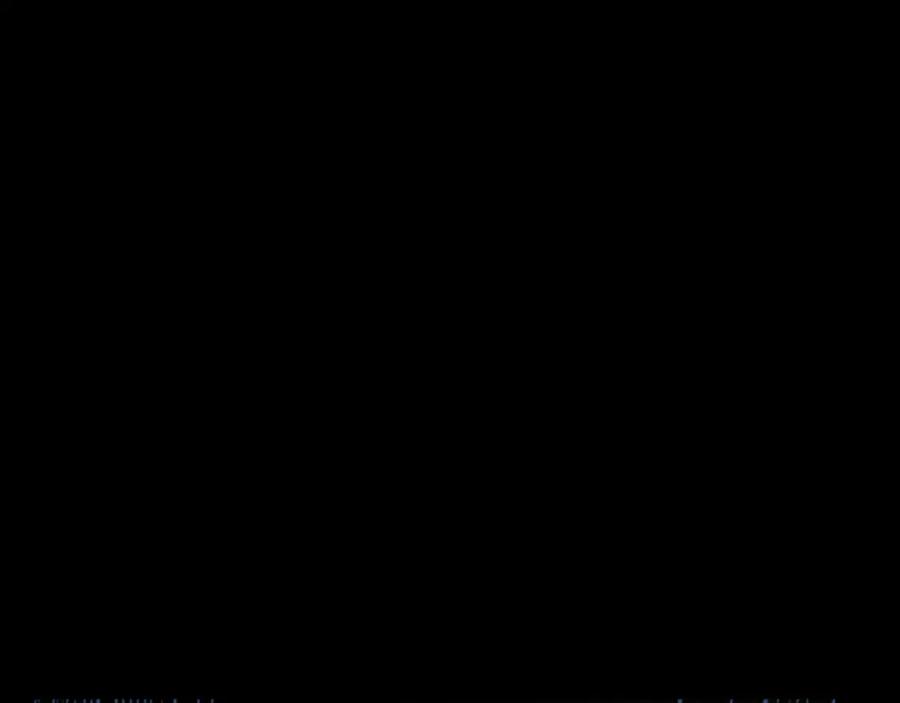 62.jpg