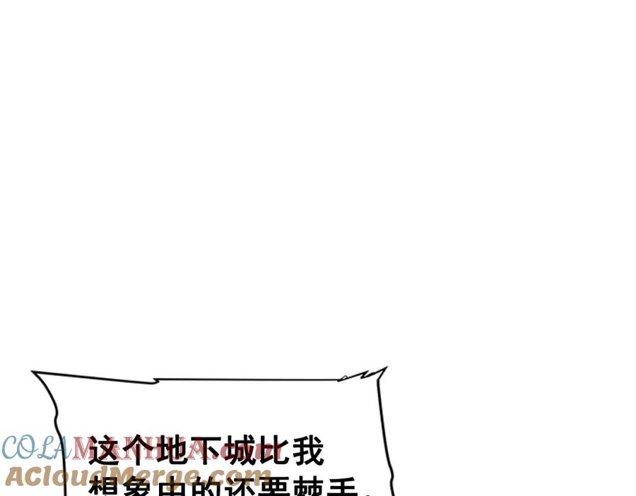 137.jpg