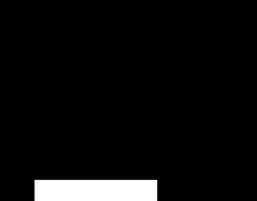 62.jpg