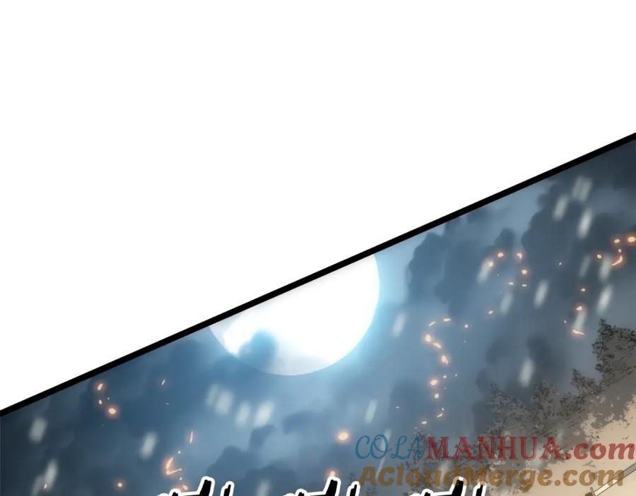 213.jpg