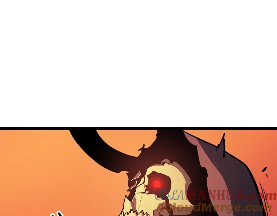 209.jpg