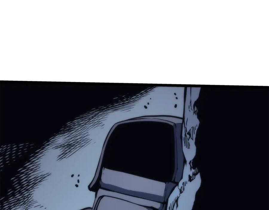 244.jpg
