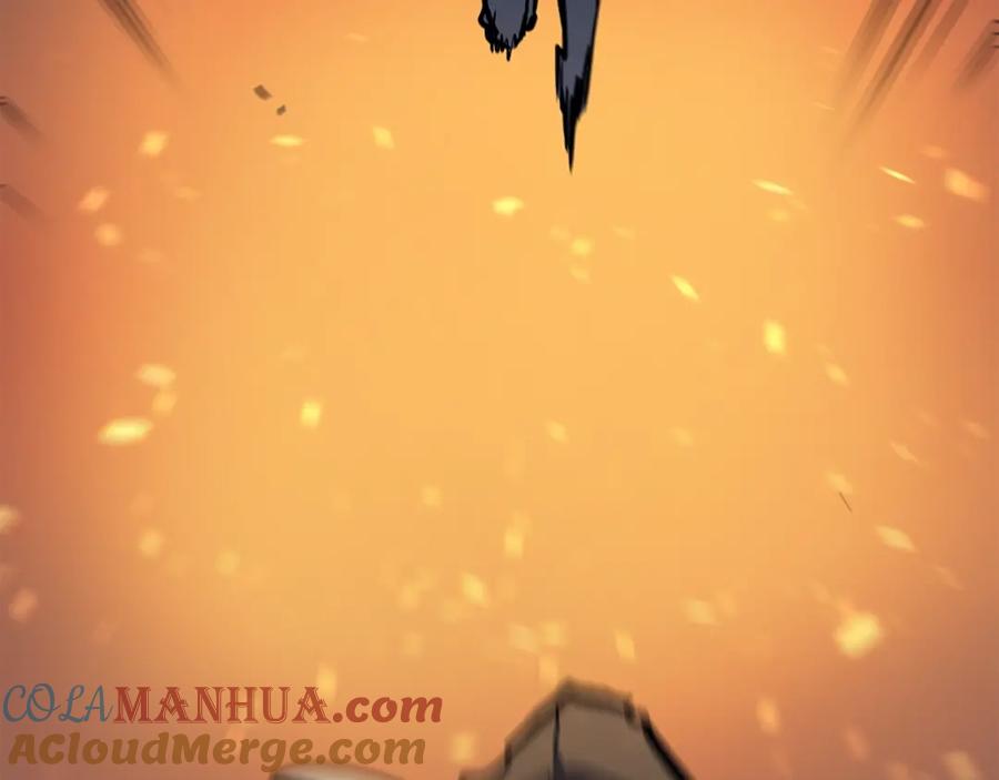 205.jpg