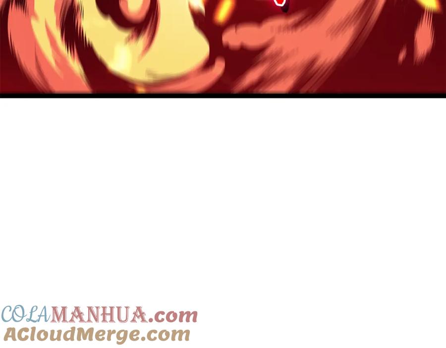 201.jpg