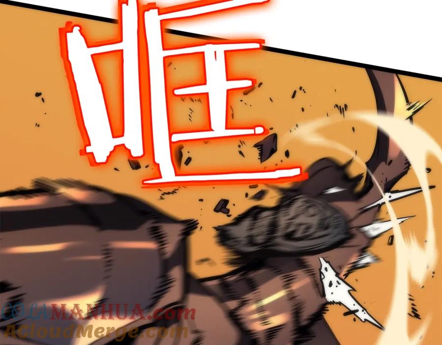 141.jpg
