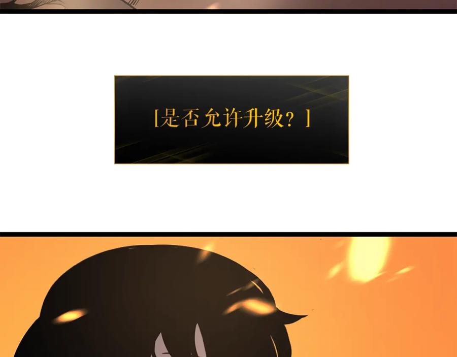 135.jpg