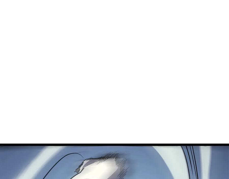 244.jpg
