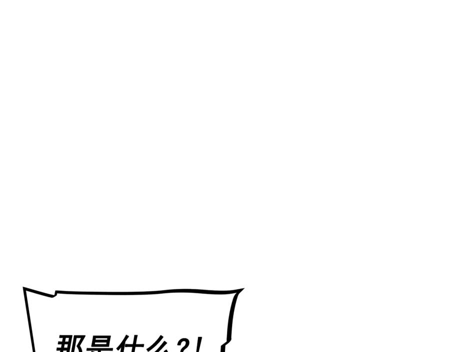 164.jpg