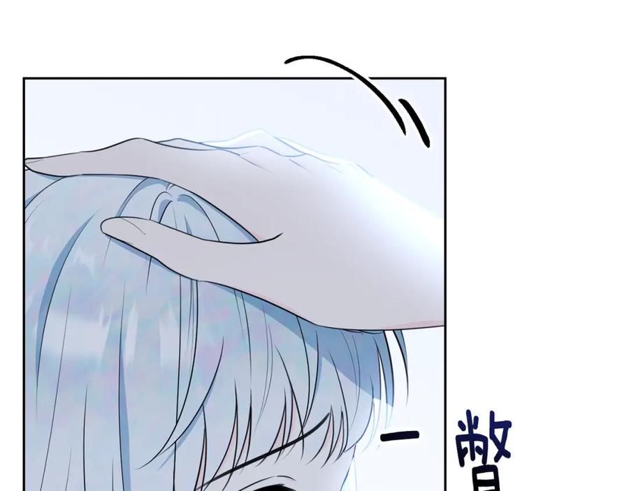 136.jpg