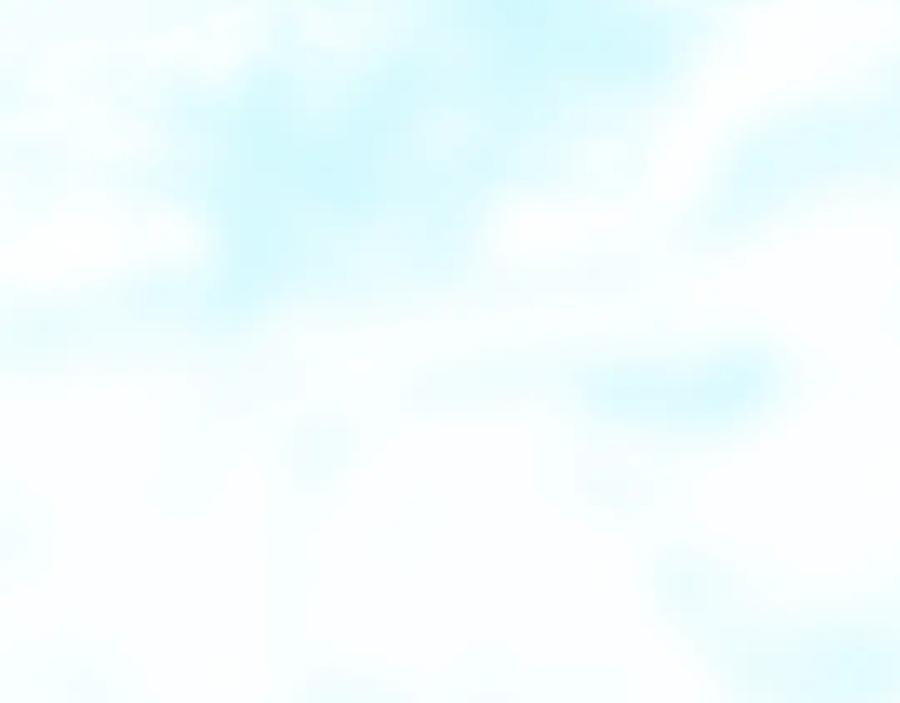 96.jpg