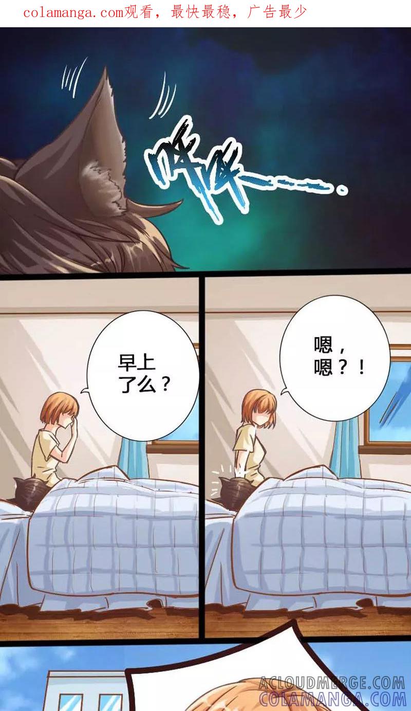 第11话-男友是猫又怎样-神居动漫（第1张）