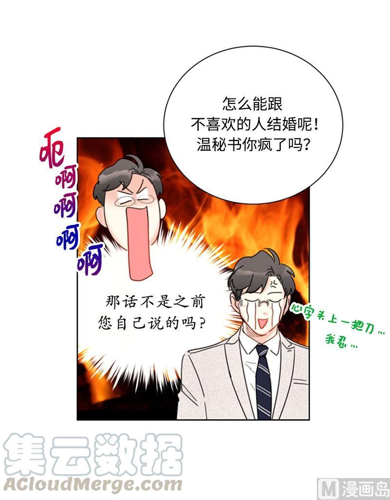 78.恋爱天才温博士-我和总裁相了个亲-多蕴文化（第5张）