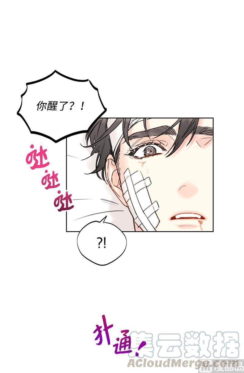 95.温秘书出车祸？！-我和总裁相了个亲-多蕴文化（第13张）